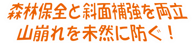 支輪保全と斜面補強を両立・山崩れを未然に防ぐ-中鋼産業